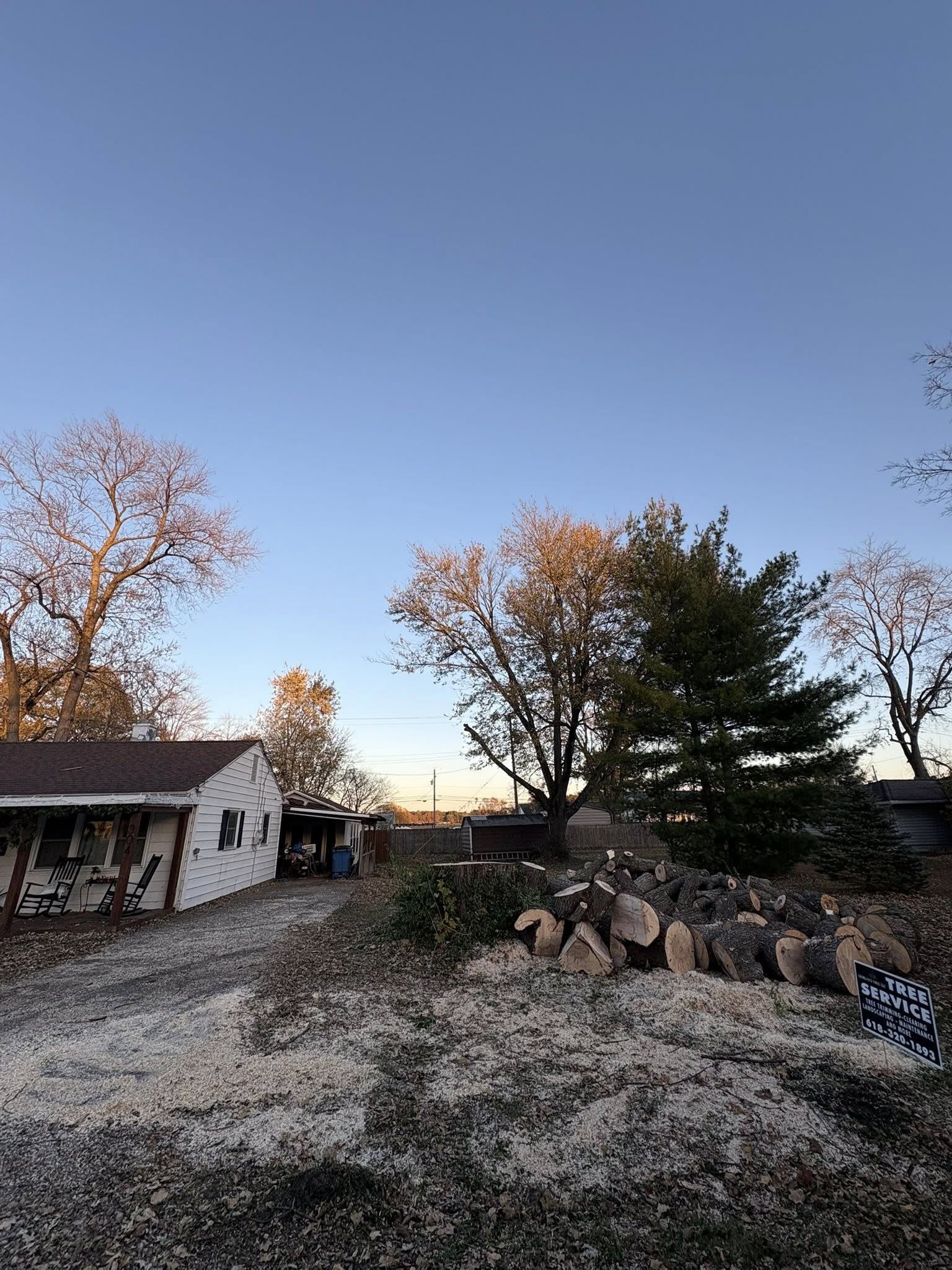 Cut logs stacked at sunset