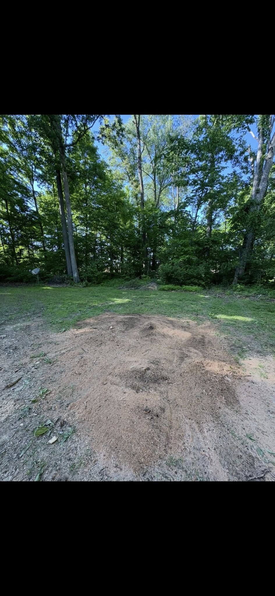 Wooded lot cleared, fresh mulch on the ground